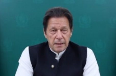 भुट्टो, शरीफ ने पाकिस्तान को तबाह कर दिया : इमरान खान