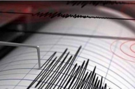 इंडोनेशिया के पापुआ में आया 5.3 तीव्रता का भूकंप, कोई हताहत नहीं