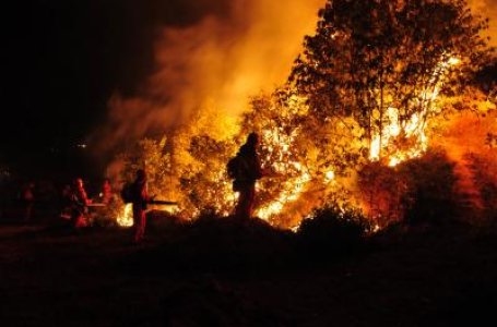 US: Five killed in California wildfires