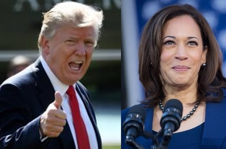 Harris narrows gap with Trump in presidential race: Media poll