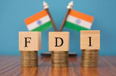 India has well-established infra to attract FDI in renewables, telecom: Eco Survey