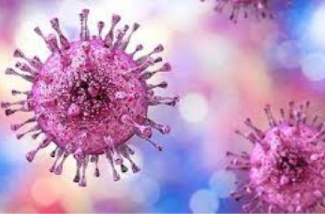 This symptomless herpes virus can harm newborns, organ transplant & HIV patients