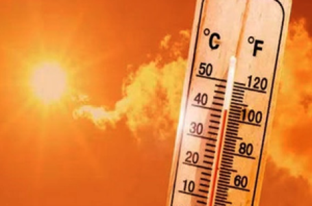 World records hottest August with 2024 poised to be warmest year