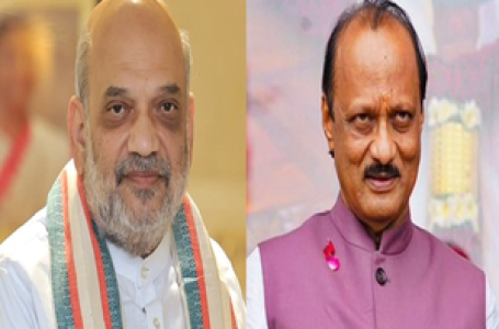 Ajit Pawar denies reports of demanding CM’s post, friendly fight on 25 seats from HM Shah