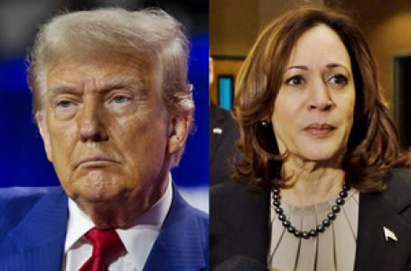 Breaking down US Prez debate: How Trump and Harris traded barbs