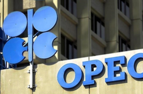 Global energy demand to grow 24 per cent by 2050 with oil dominating: OPEC