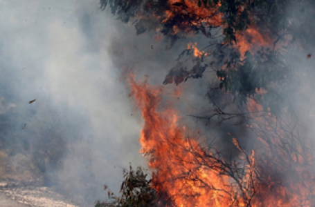 Rocket barrage fired from Lebanon at Israel, Golan Heights, prompting shelter warnings