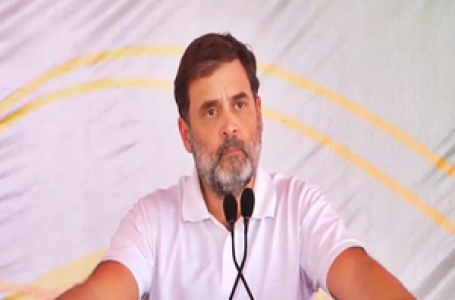 We will put pressure on PM Modi for statehood, Rahul Gandhi tells voters in J&K