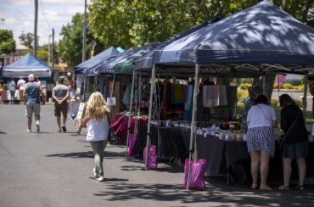 Millions of Australian households experiencing food insecurity: Report