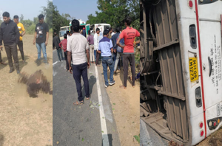 11 killed as bus flips trying to avoid hitting biker in Maharashtra’s Gondia