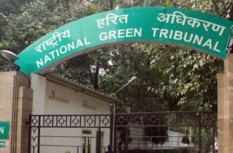 NGT issues notice to Delhi govt on plea alleging land for afforestation under illegal encroachment