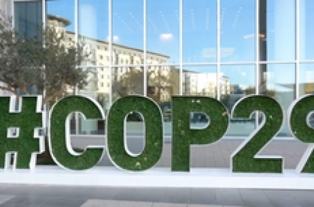 78 NGOs call for climate finance for transition to regenerative farming at COP29