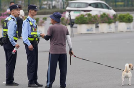 8 killed, 17 injured in knife attack at vocational school in China