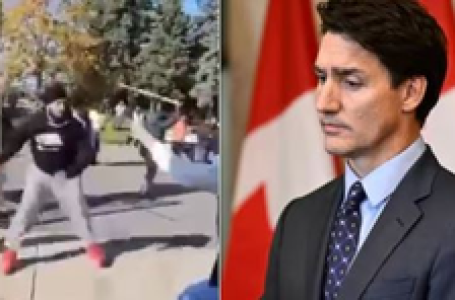 Acts of violence unacceptable in Canada, says PM Trudeau on Brampton temple attack