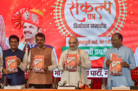 BJP’s promises for Maha: Law against forced conversion, skill census, free ration