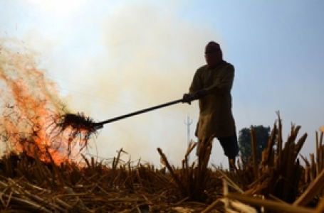 Centre doubles penalty for stubble burning amid rising air pollution in Delhi-NCR