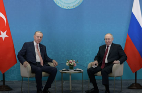 Erdogan, Putin hold phone talks on regional, global issues