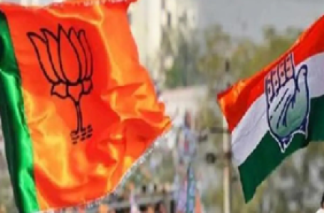 Rajasthan bypolls: BJP leading on three seats, Congress and BAP on two each