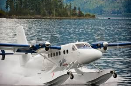 Seaplane tourism takes off in Kerala after first plane touches down