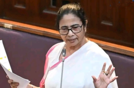 Trinamool leads Oppn in LS against Waqf Bill: Mamata Banerjee