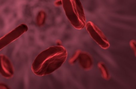 Indian scientists develop 1st human gene therapy for Haemophilia A