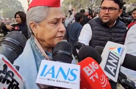 Better performance than I ever gave; deserve Oscars: Jaya Bachchan on injured BJP MPs