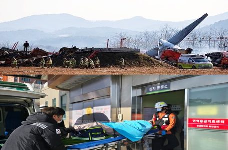 South Korea plane crash: 179 dead, two rescued