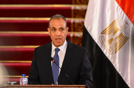 Egyptian Foreign Minister reaffirms Cairo’s support for Syrian sovereignty