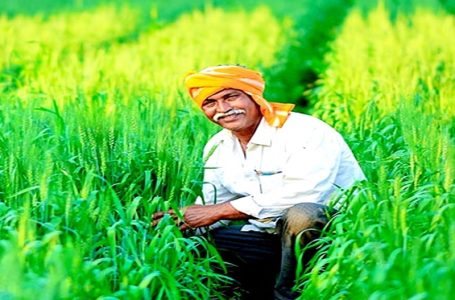 Cabinet approves extension of Rs 69,515.71cr worth crop insurance schemes for farmers