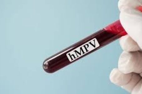 2 children test positive for HMPV in Nagpur, no surge in respiratory illness: Centre