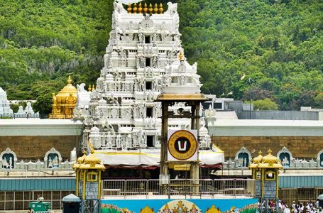 Six devotees killed, 29 injured in stampedes in Tirupati