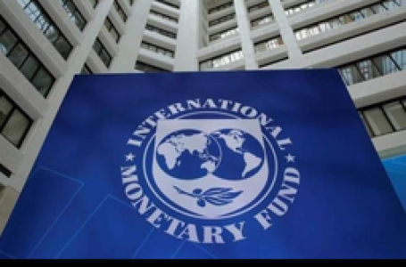 IMF projects India growth to be solid at 6.5 pc in 2025 and 2026