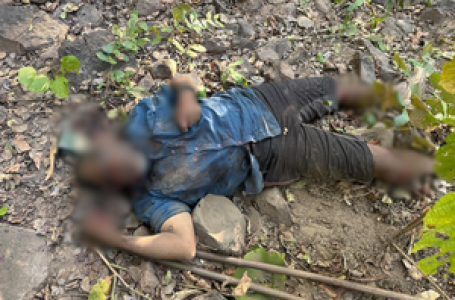 Maoist leader with Rs 1 crore bounty among 14 killed in Chhattisgarh op