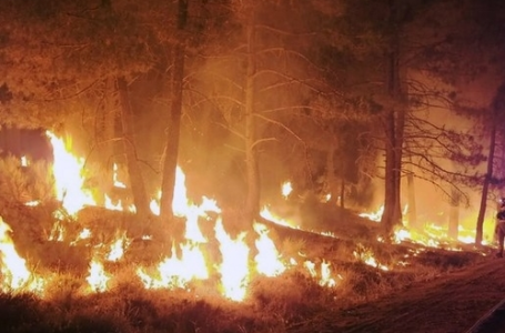 Tragic toll: At Least 11 confirmed dead as wildfires ravage Los Angeles