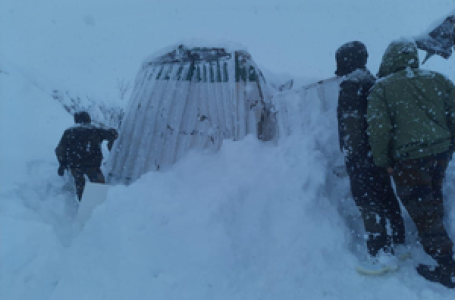 42 workers trapped in Uttarakhand avalanche, multi-agency rescue operations underway