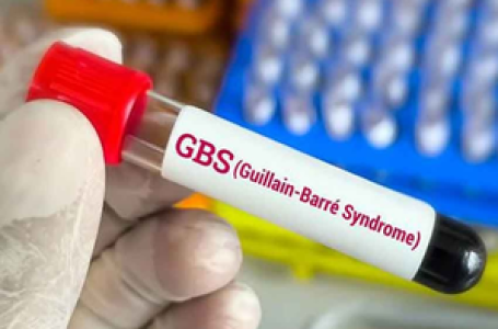 GBS outbreak: Mumbai reports first death