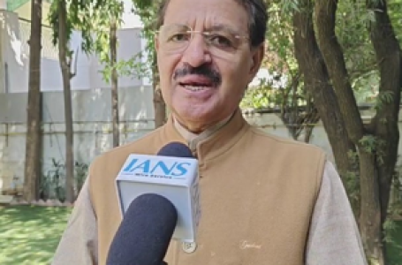 Not including experienced politicians in mainstream will harm Cong: Rashid Alvi on Tharoor’s remarks