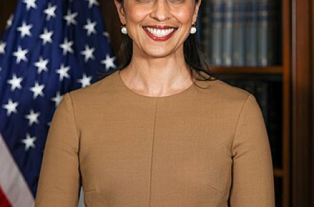 Indian American US Second Lady embroiled in Greenland controversy as she announces visit