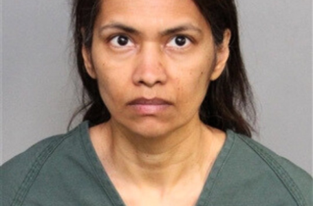 Indian-origin woman kills son on Disneyland trip, arrested